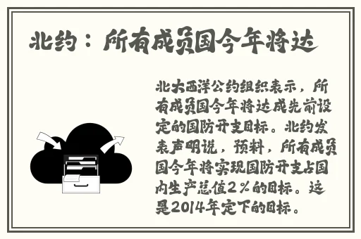 国内精品久久久久久久999
